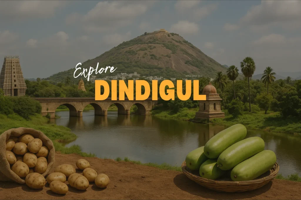 drop taxi service in dindigul