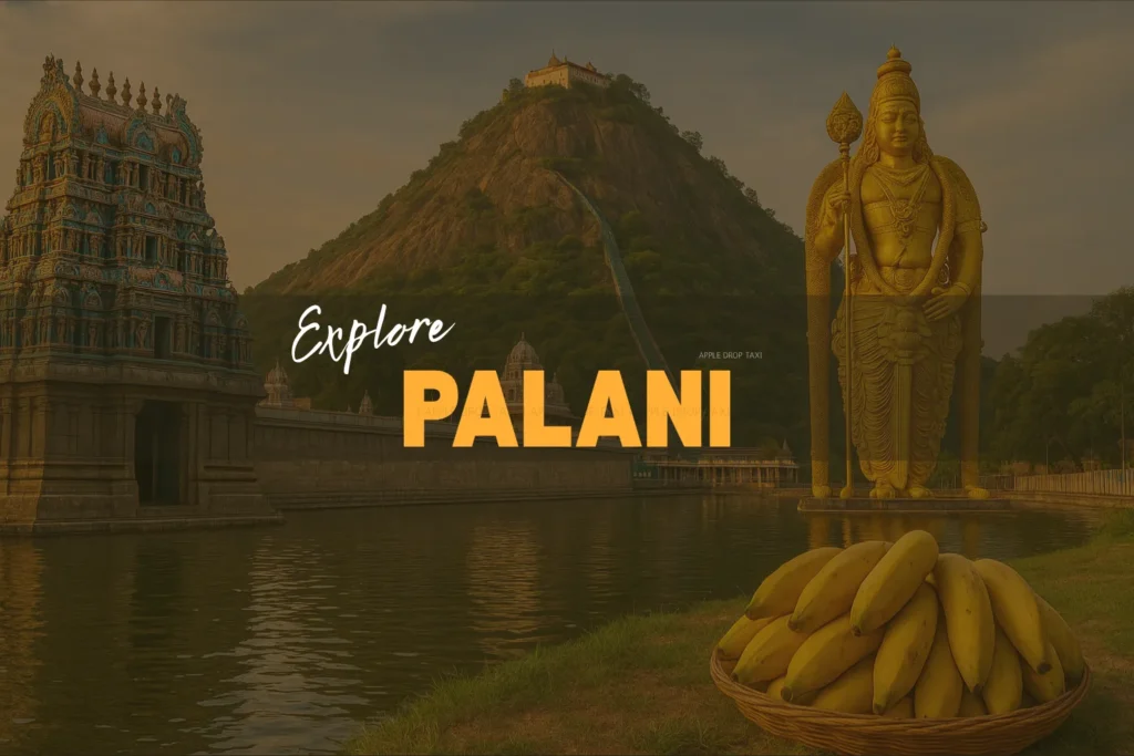 Drop Taxi Service in Palani