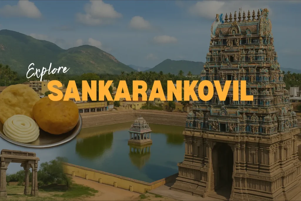 Drop Taxi Service in Sankarankovil