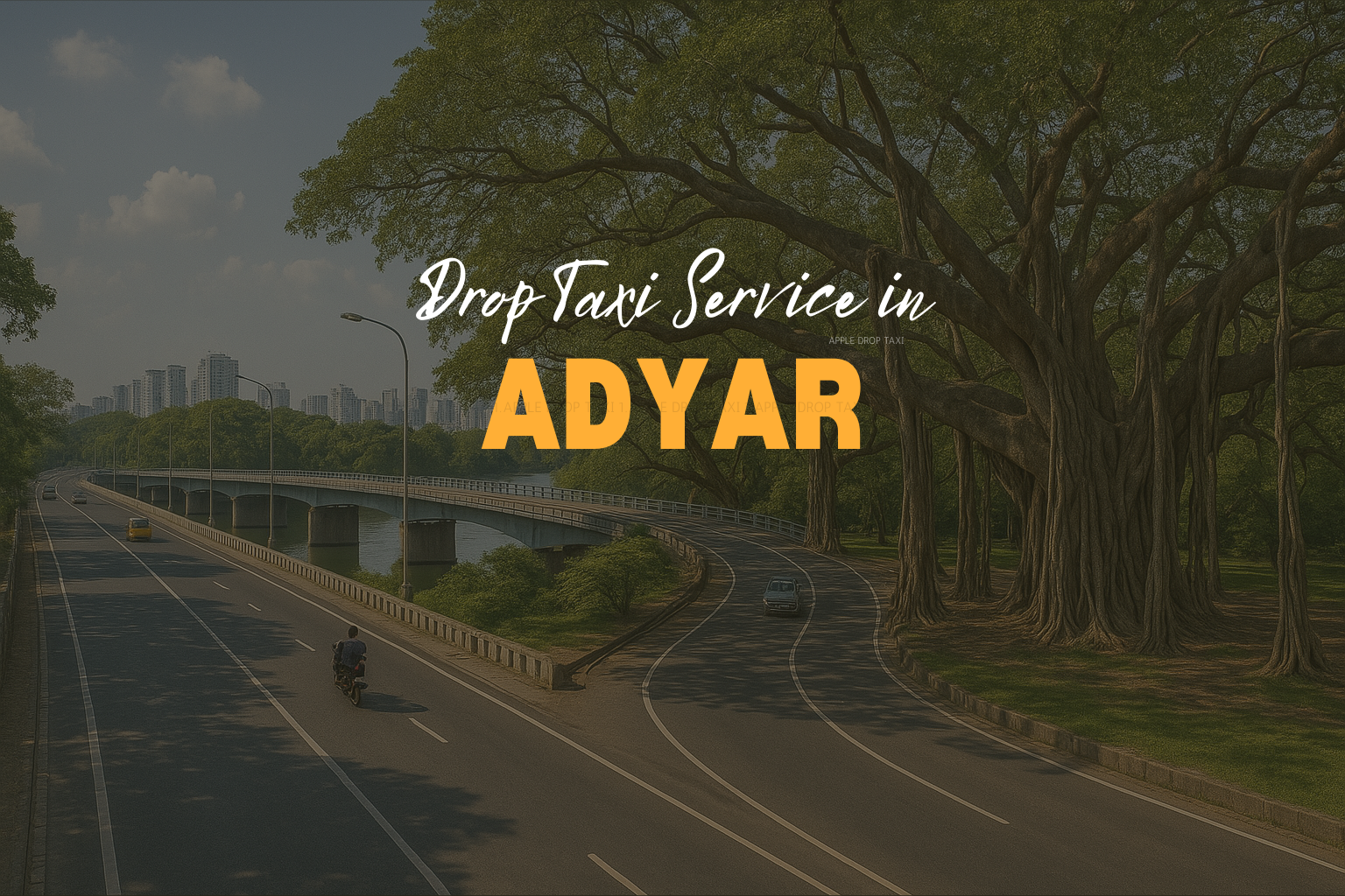 drop taxi service in adyar
